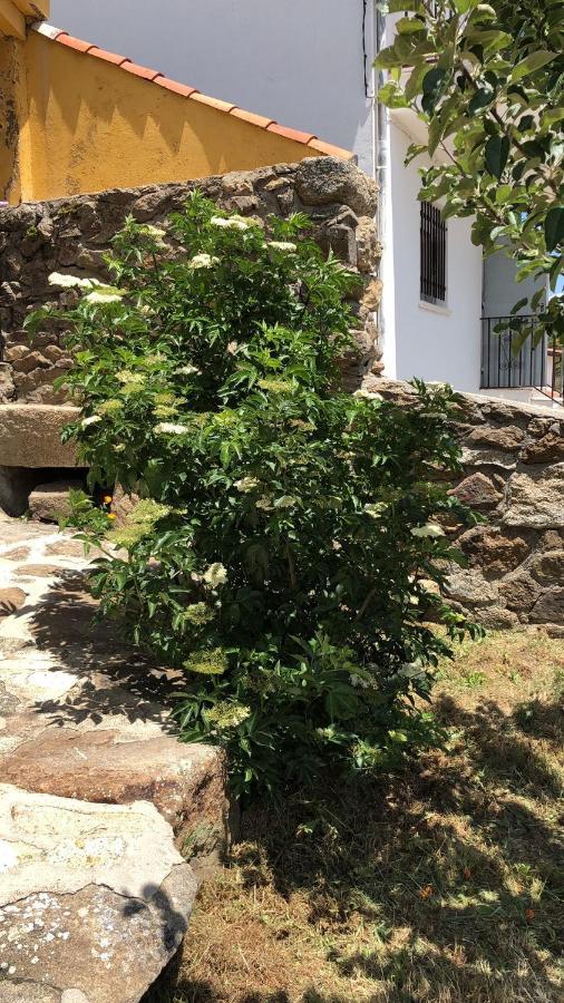Casa Sierra De Gredos Pensionat Navasequilla Eksteriør billede