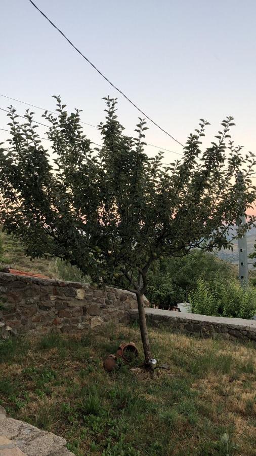 Casa Sierra De Gredos Pensionat Navasequilla Eksteriør billede
